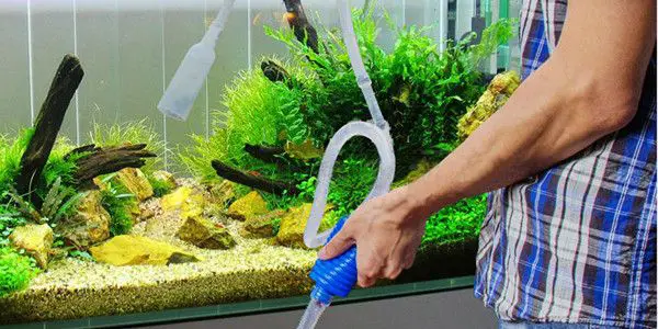 How to do a water change