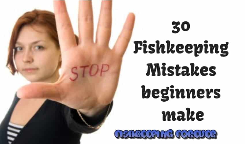 30 FishkeepingMistakes beginners make