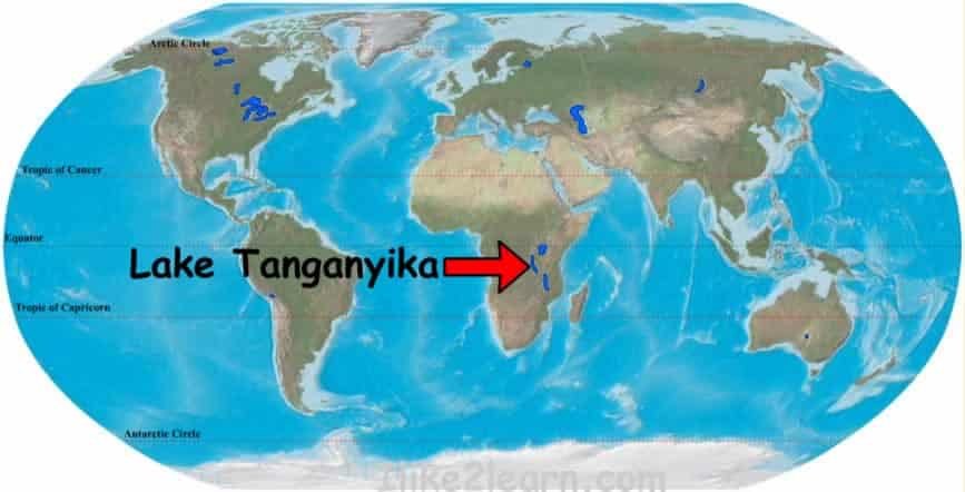 Where do Frontosa Cichlids come from? Lake Tanganyika Map