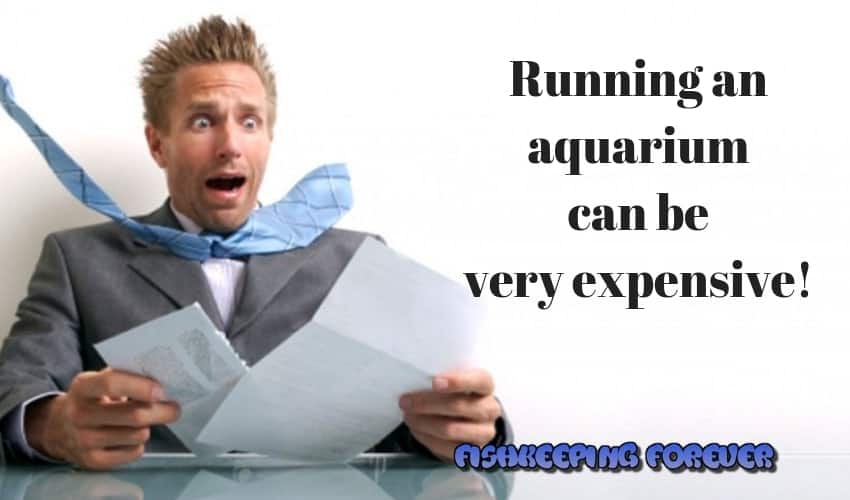 Running an aquarium can be very expensive