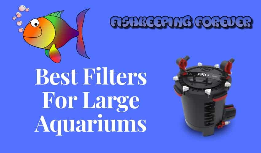 best filters for larger aquariums