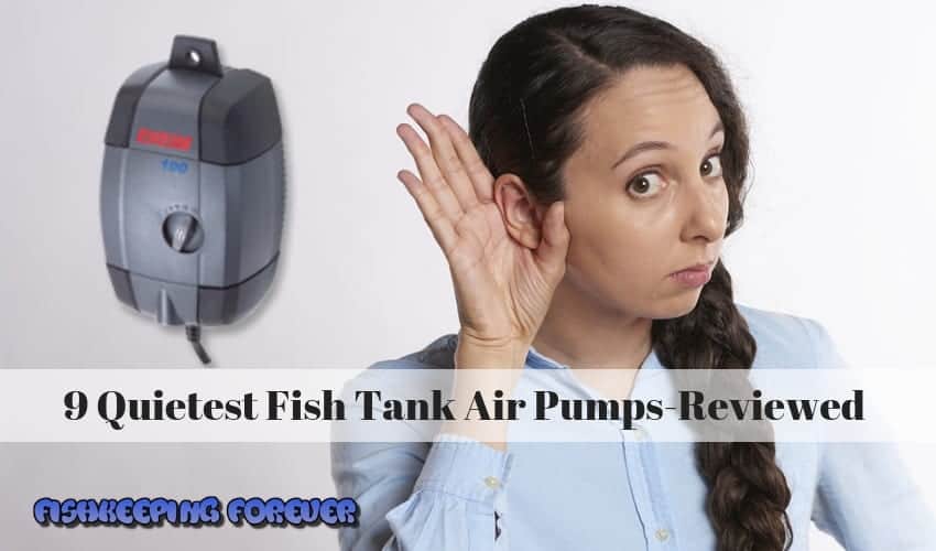 9 Quietest Fish Tank Air Pumps