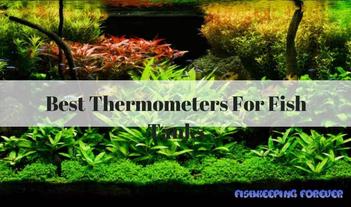 Aquarium Thermometer Pros and Cons