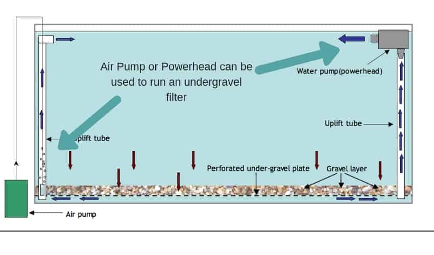 undergravel filter run by an air pump