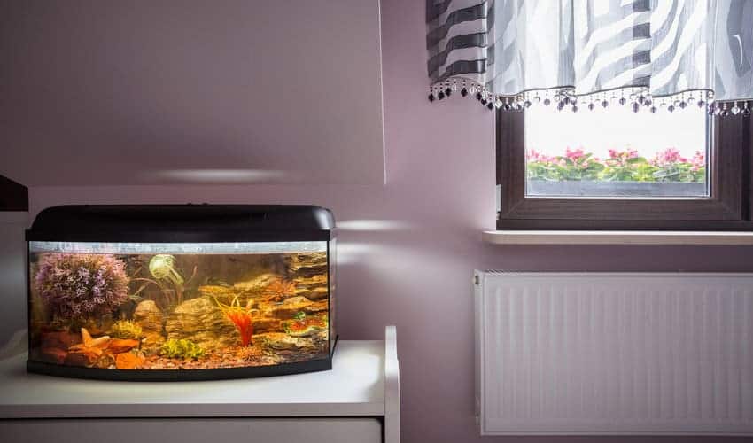 Where to place a fish tank