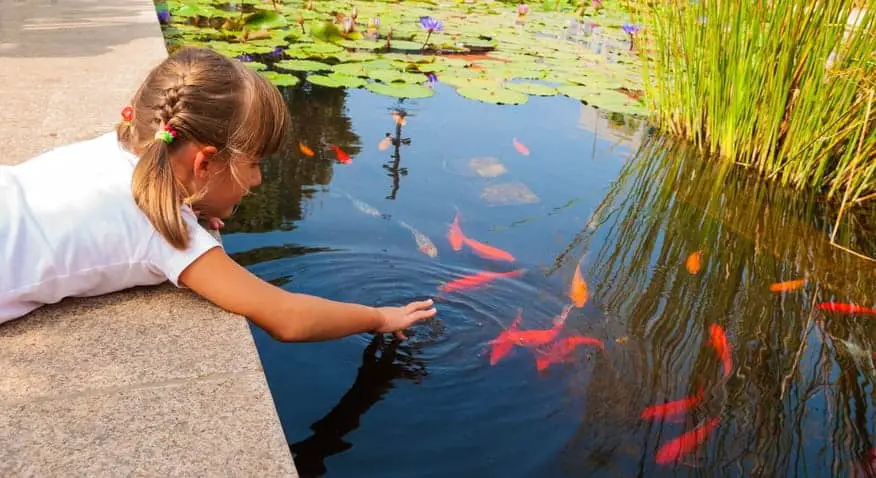 girl looking into a pond