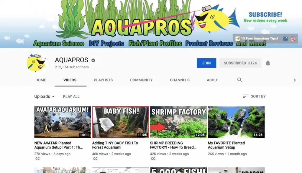 top 10 aquarium youtubers 2019