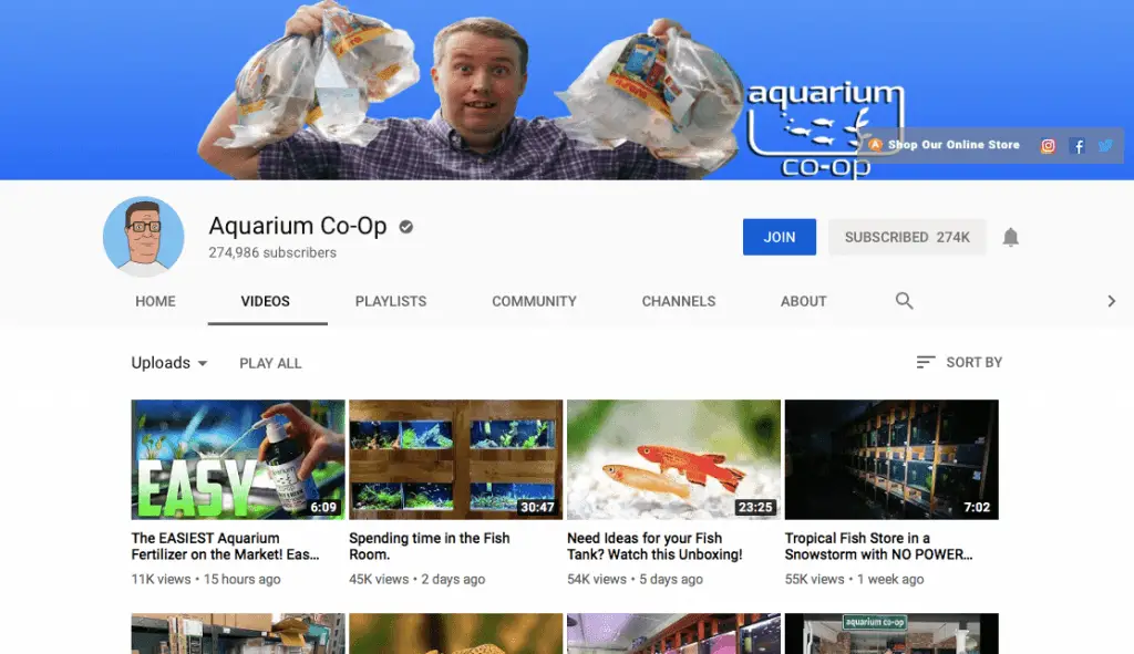 top 10 aquatic youtubers 2019