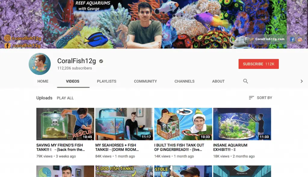 TOP 10 AQUARIUM YOUTUBERS 2019