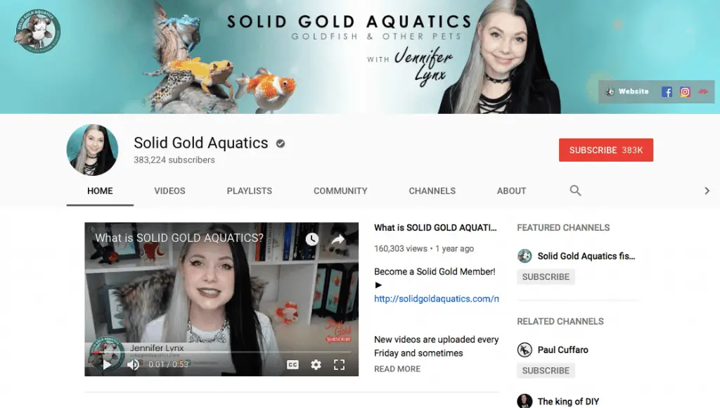top 10 aquarium youtubers 2019