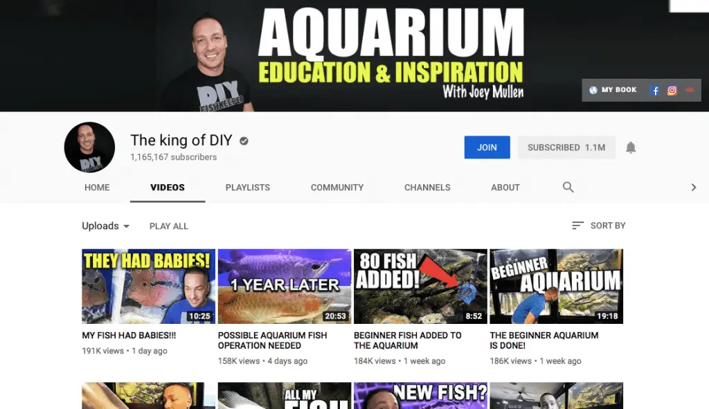 top 10 aquarium youtubers 2019