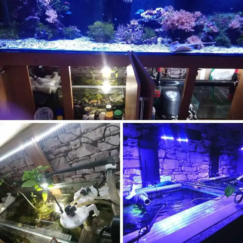 9 foot reef tank equipment