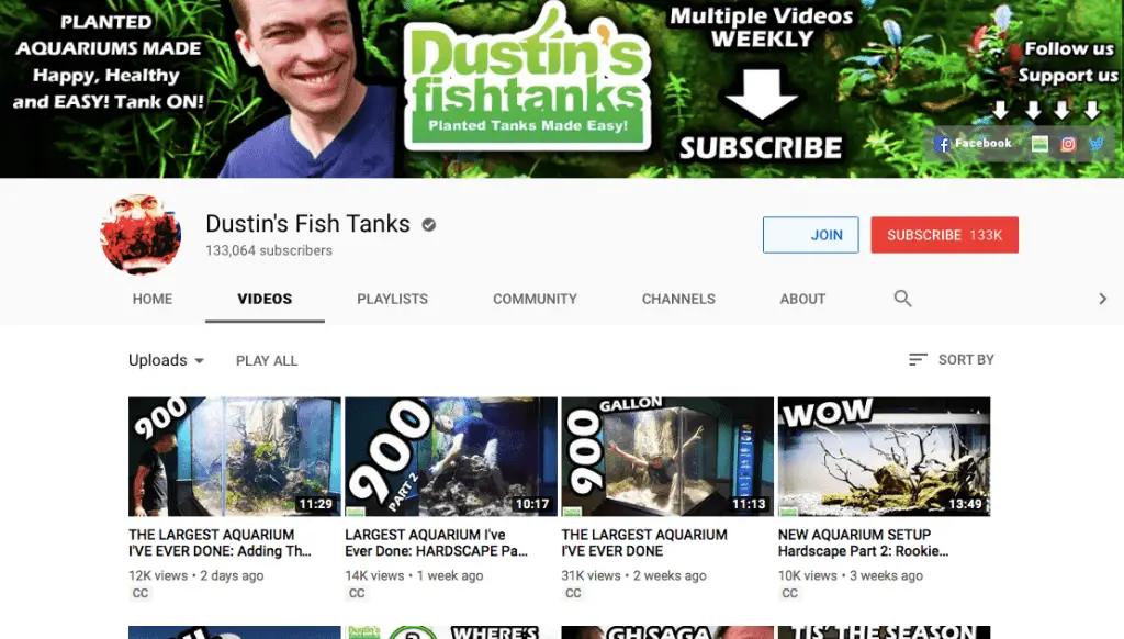 top 10 aquarium youtubers 2019