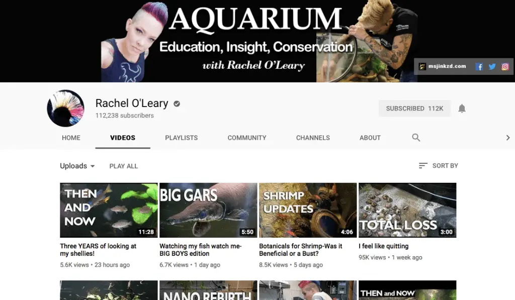 top 10 aquarium youtubers