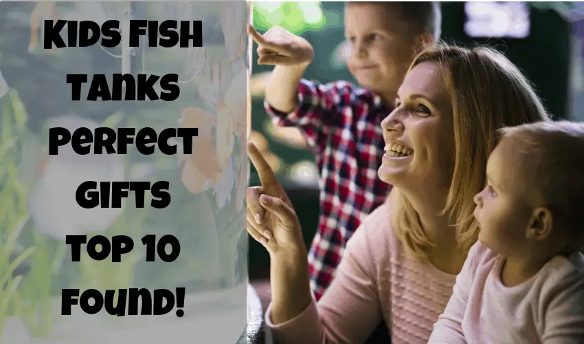 Kids Fish Tanks Perfect gifts top 10 found!