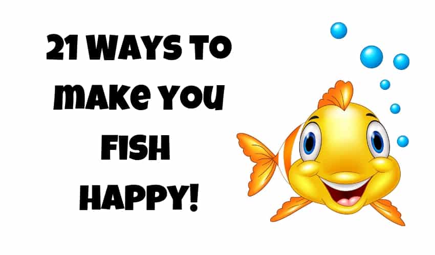 21 ways to make your fish happy image