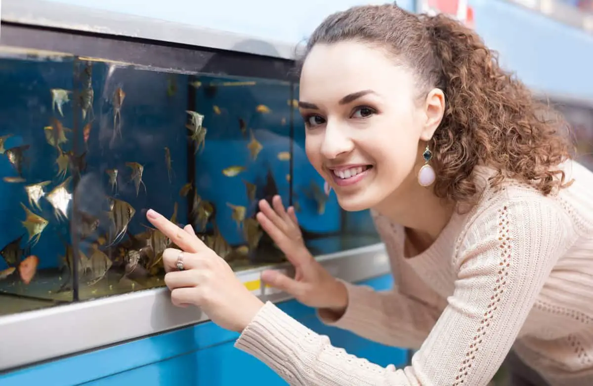 where to buy your first pet fish