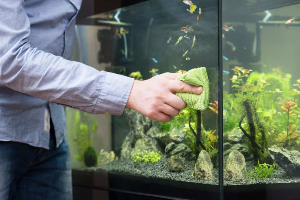 article on the cost of maintaining a fish tank.