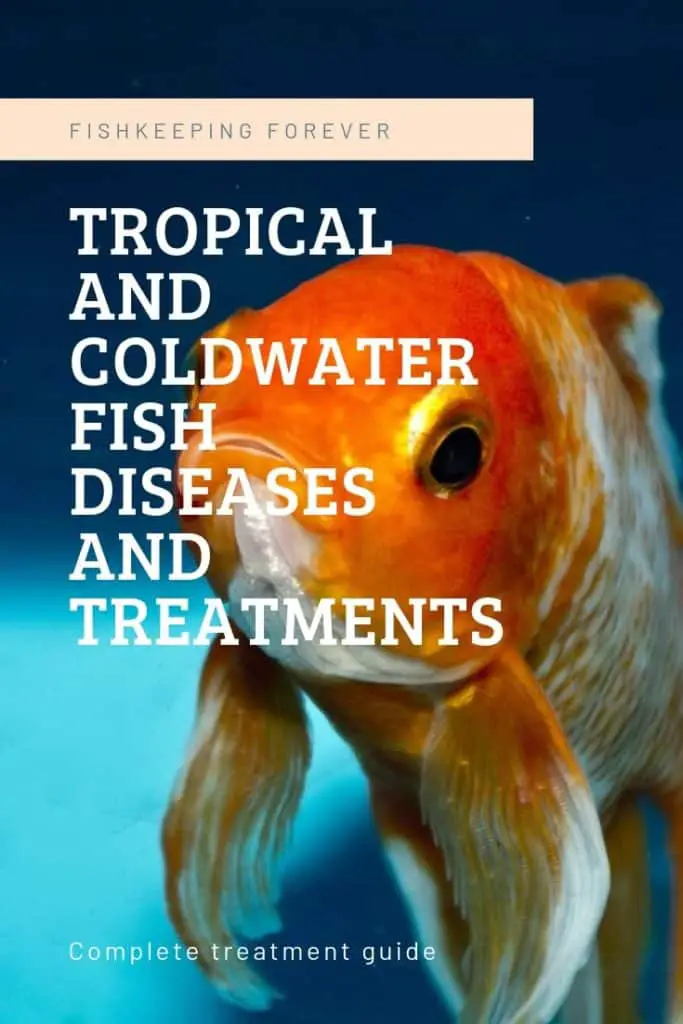 tropical fish treatment