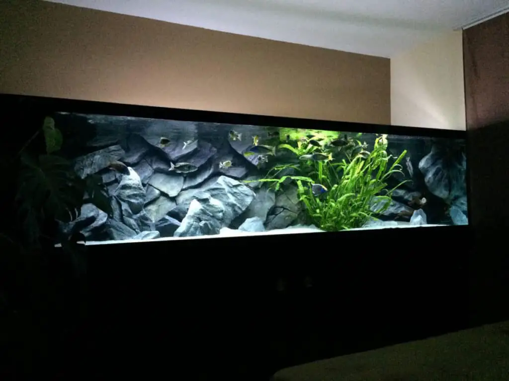 large aquarium