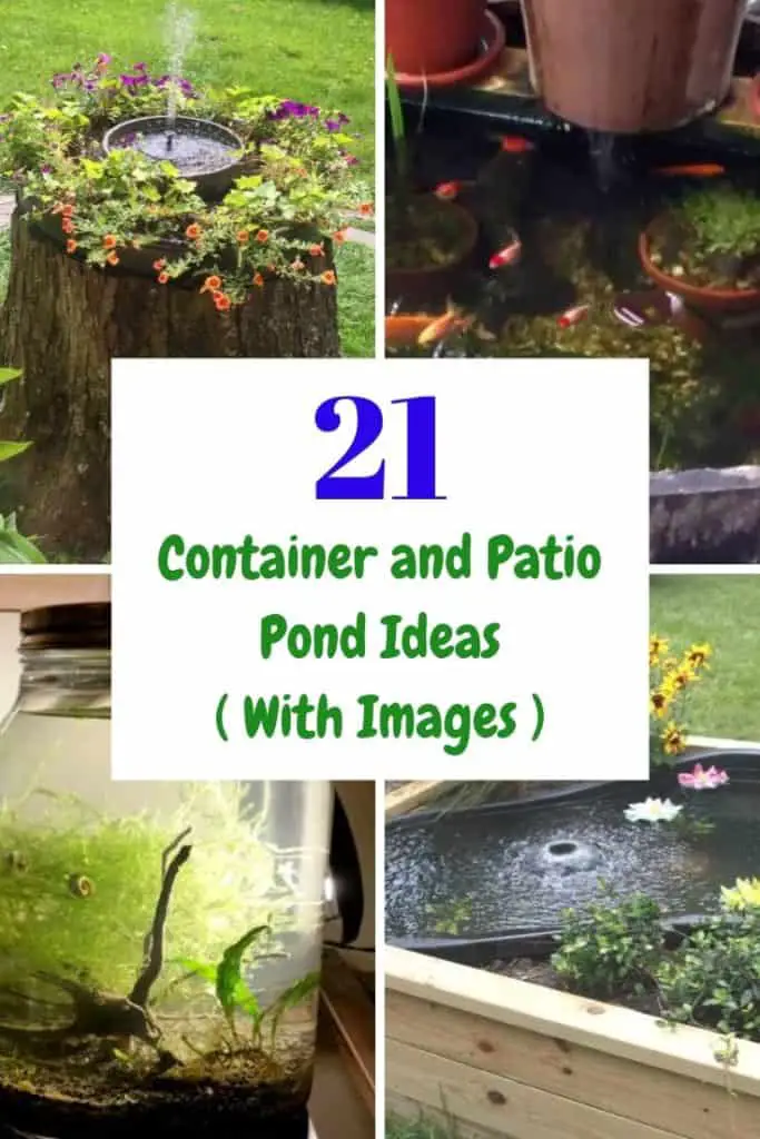 21 Container Pond Ideas Patio Pond Ideas For Small Spaces