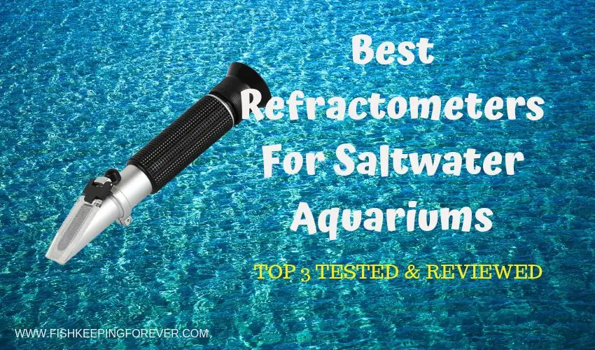 refractometer for aquariums