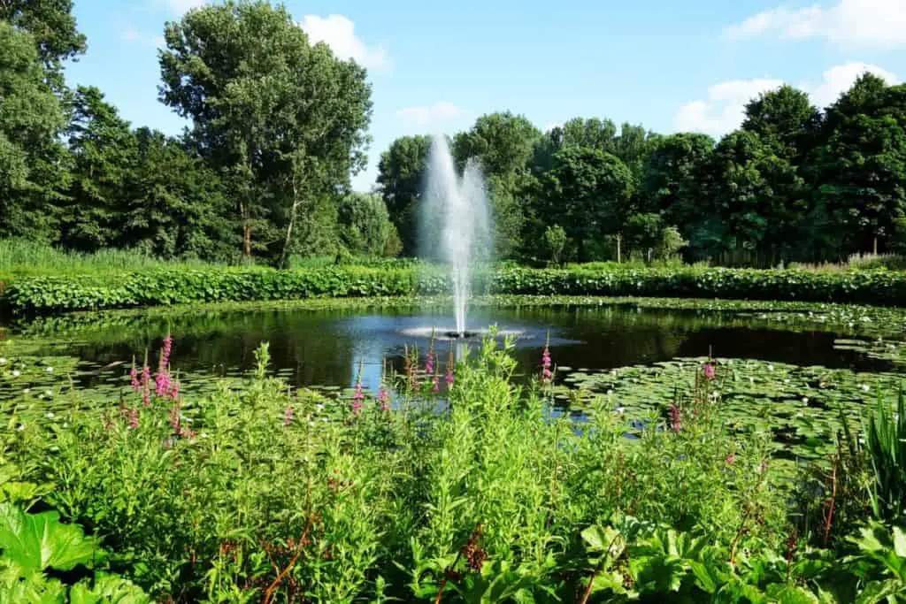 garden fountain