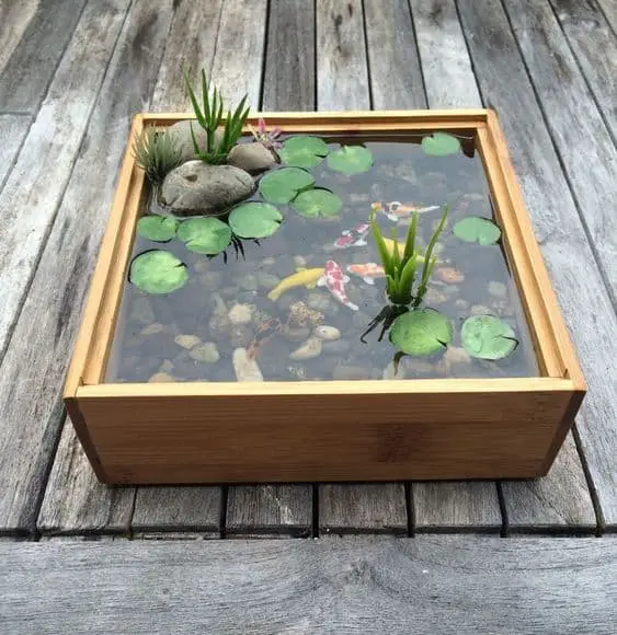 mini koi pond diy