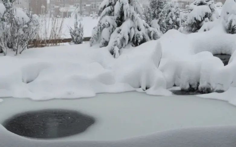 frozen koi pond