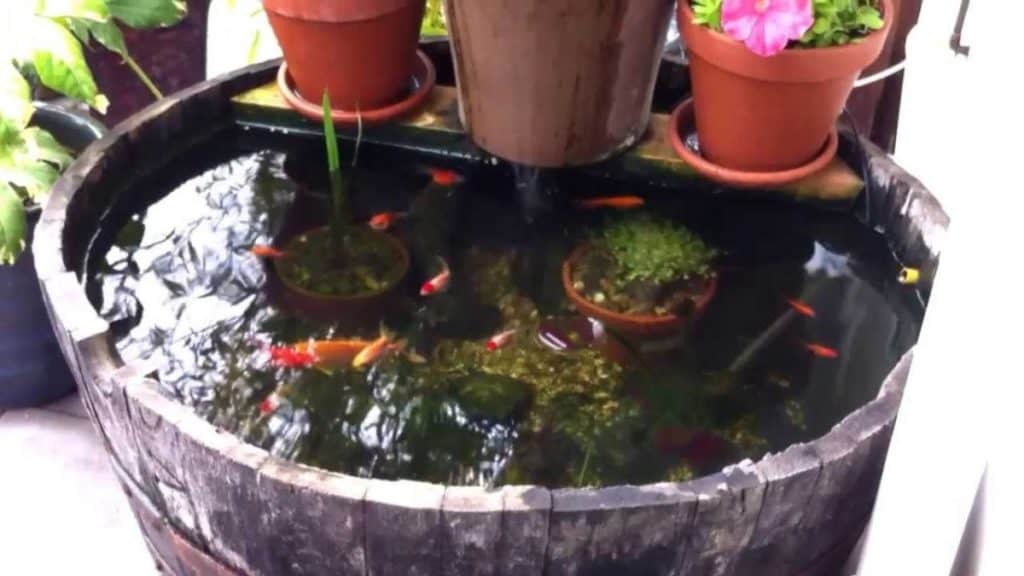 21 Container Pond Ideas Patio Pond Ideas For Small Spaces