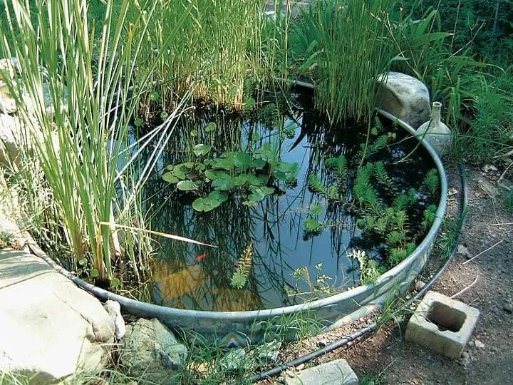 stock feed tub pond