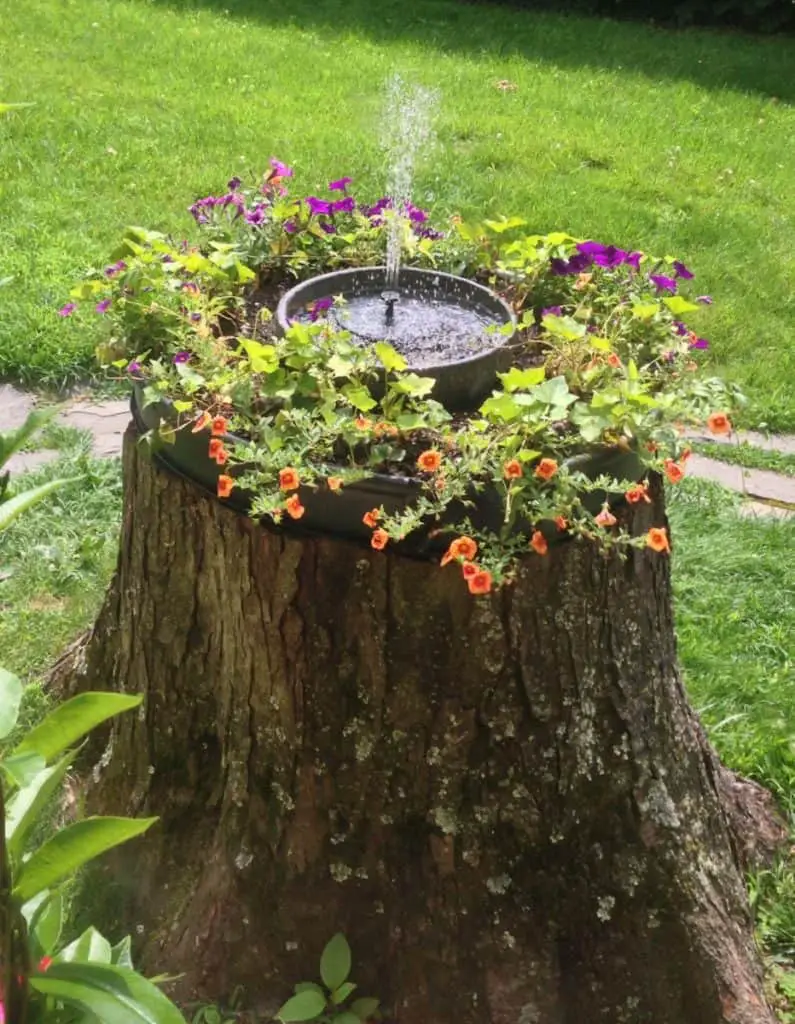 tree stump fountain