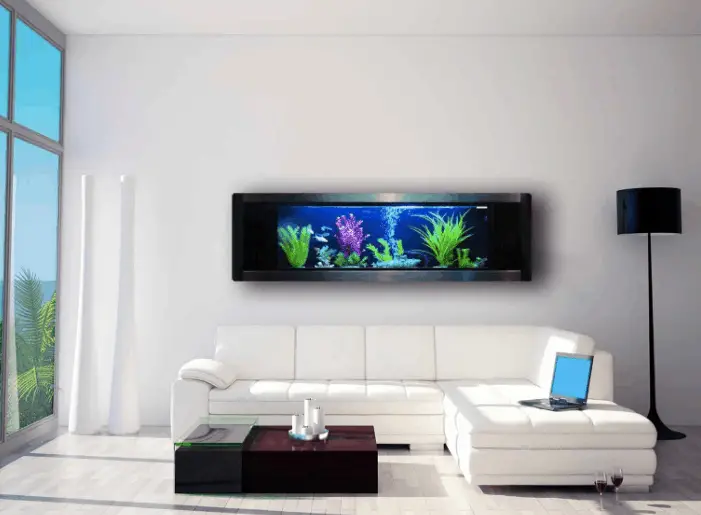wall mounted aquarium