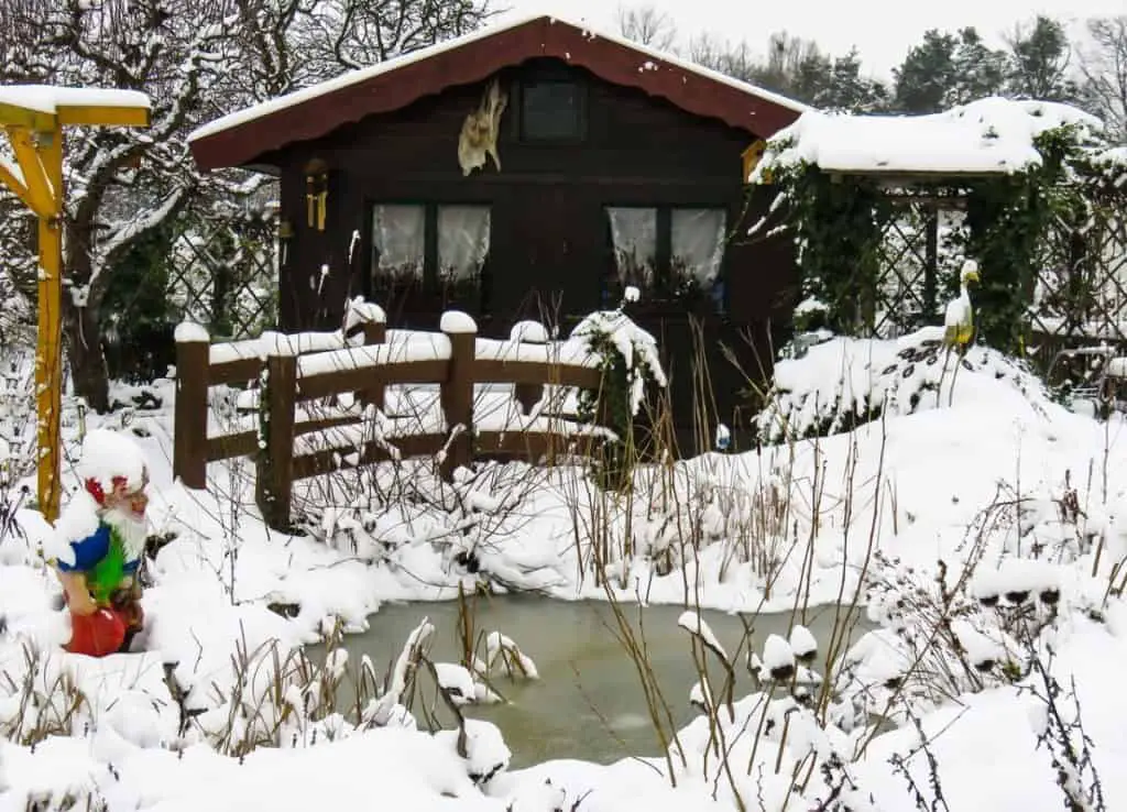 frozen garden pond