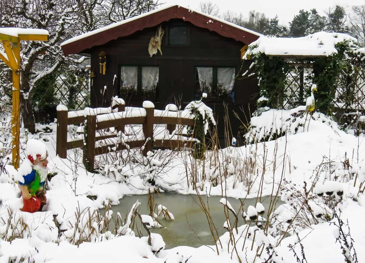 frozen garden pond