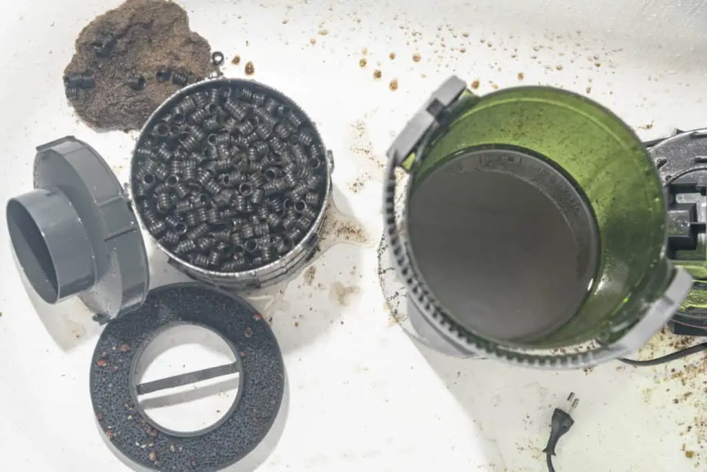 cleaning an aquarium filter