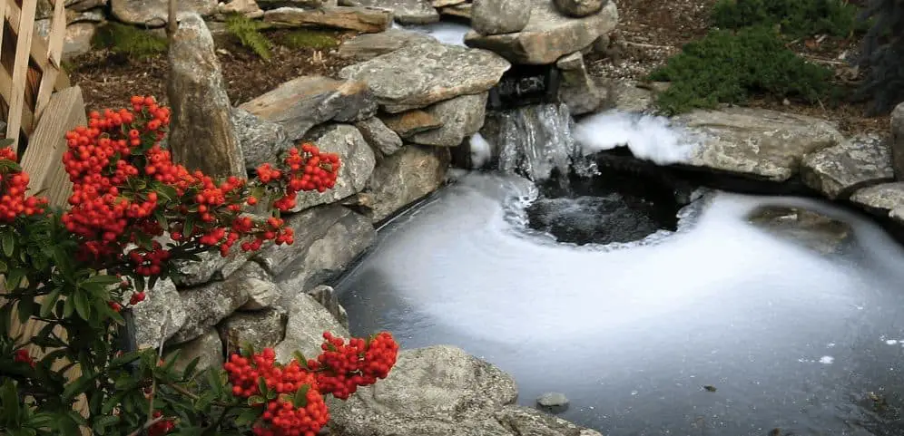 fish pond pump through winter