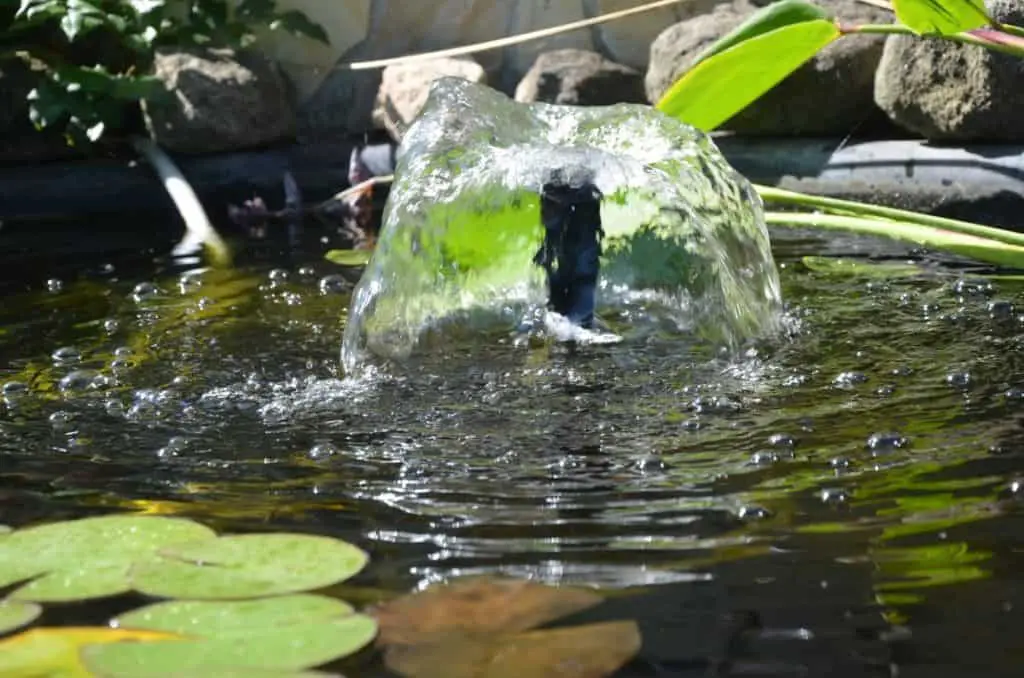 solar powered pond fountain