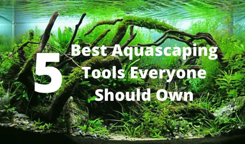 aquascaping tools
