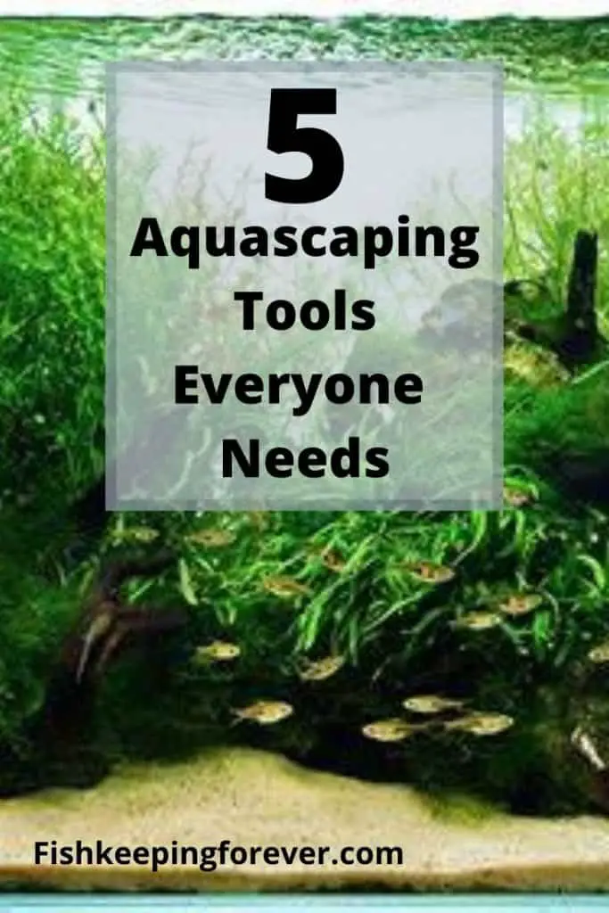 aquarium planting tools