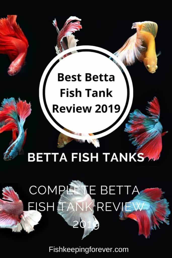 BEST BETTA FISH TANK REVIEW