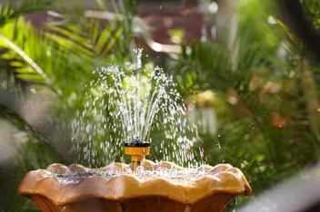 pros and cons of bird baths