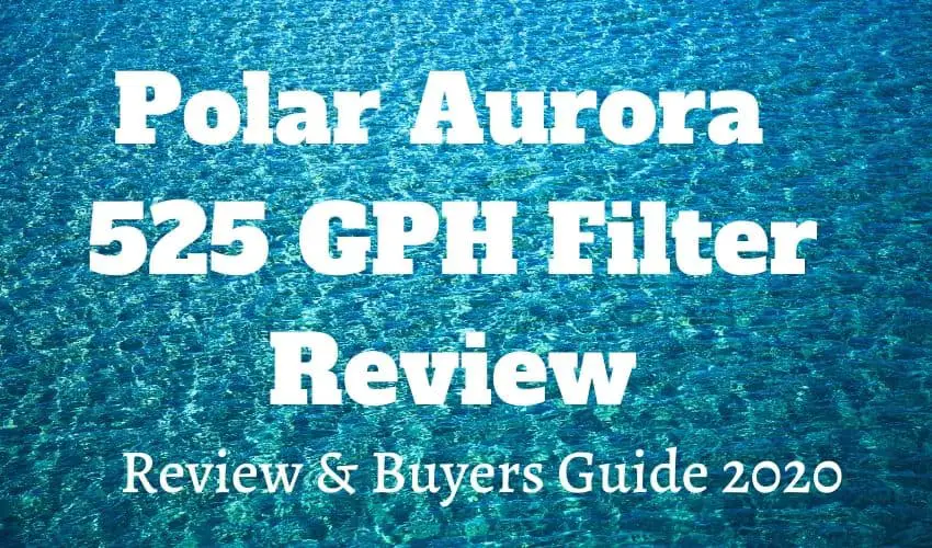 Polar Aurora Canister Filter Updated Review 525 Gph