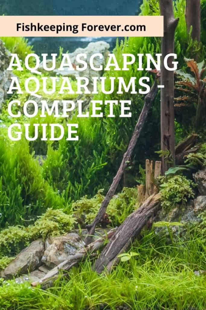 aquascaping aquariums
