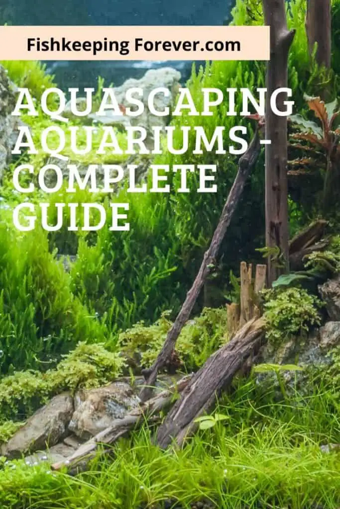 aquascaping aquariums