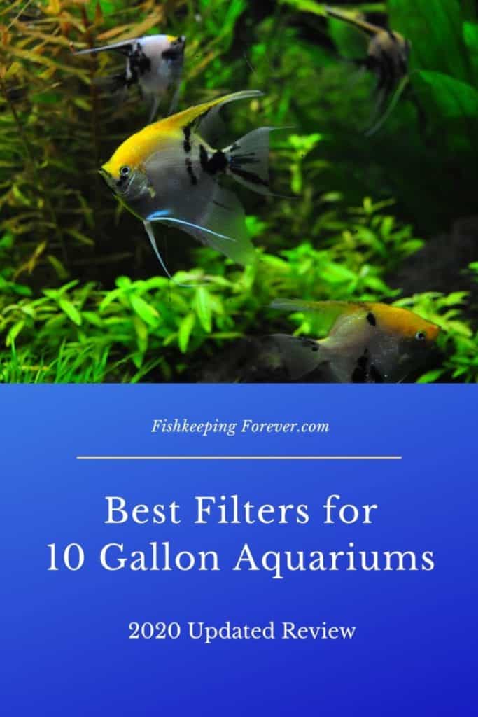 best filters for 10 gallon aquariums