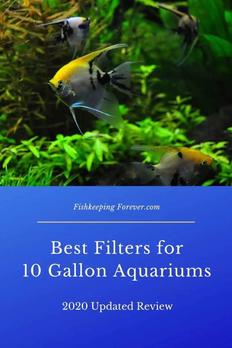 Best Filters For A 10 Gallon Aquarium | Pros & Cons 2022 – Fishkeeping ...