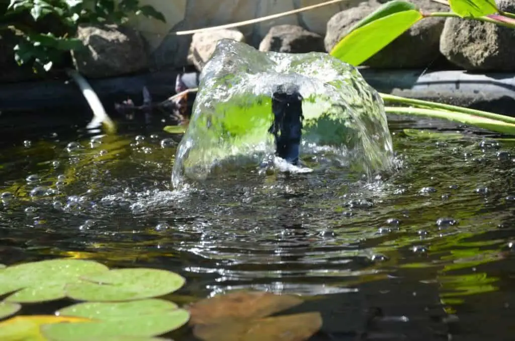 solar powered fish pond fountain