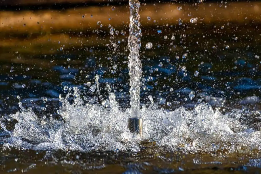 fish pond fountain