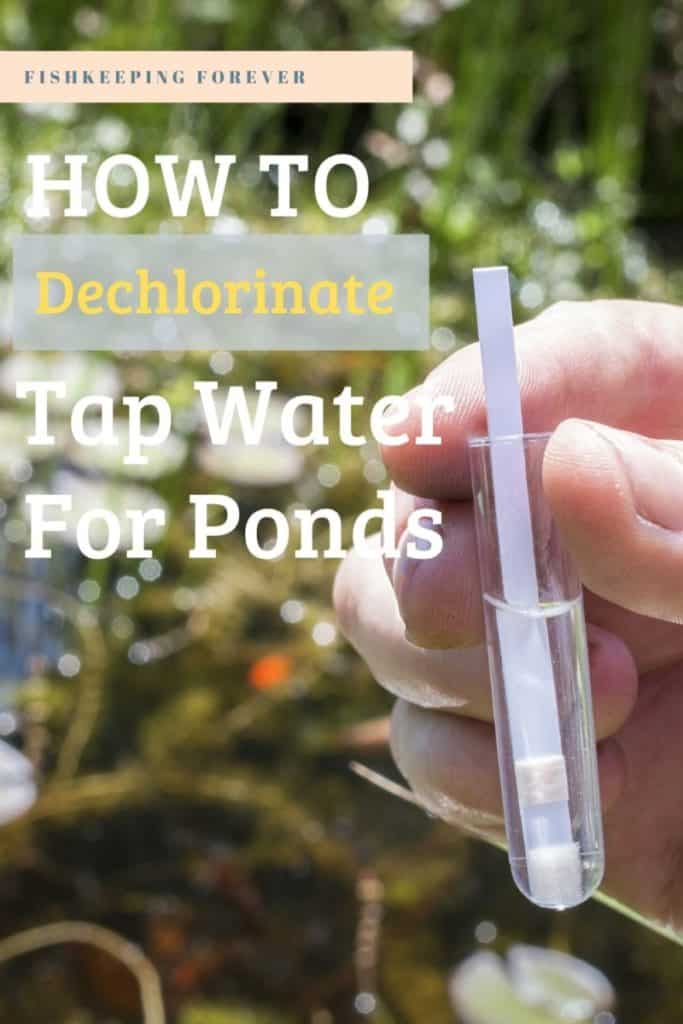 How to Dechlorinate Tap Water for Pond